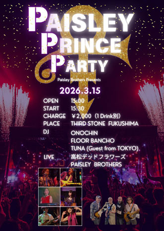 PAISLEY PRINCE PARTY